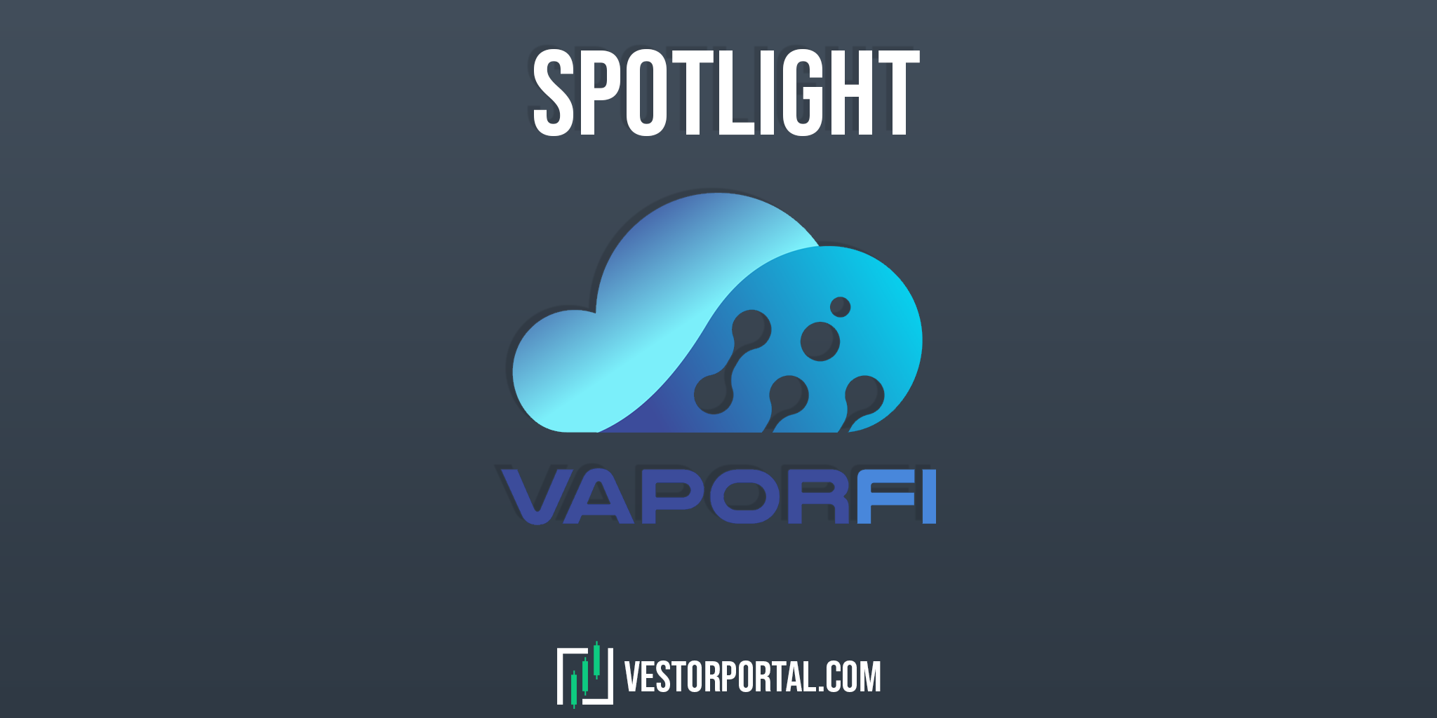 Meet VaporFi - Nodes for everyone!